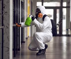 Best Mold Removal for HVAC Installations  in USA